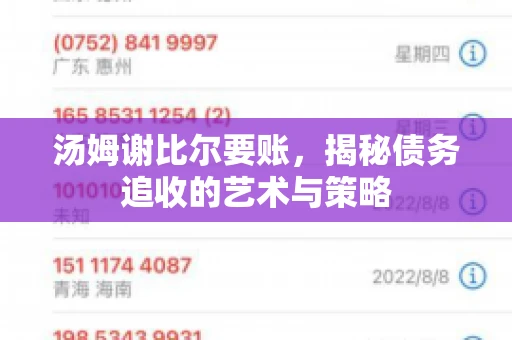 汤姆谢比尔要账，揭秘债务追收的艺术与策略