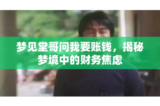 梦见堂哥问我要账钱，揭秘梦境中的财务焦虑