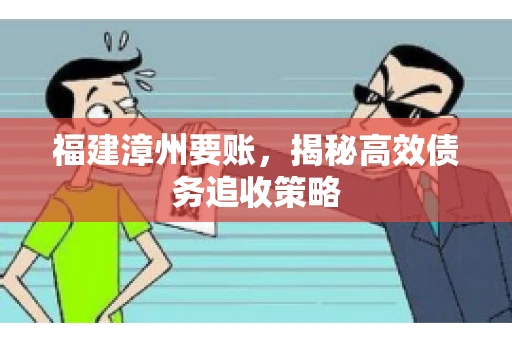 福建漳州要账，揭秘高效债务追收策略
