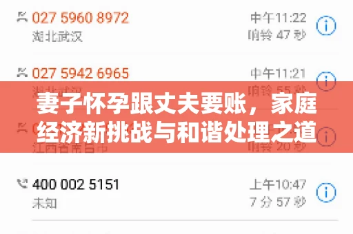 妻子怀孕跟丈夫要账，家庭经济新挑战与和谐处理之道