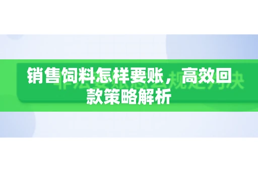 销售饲料怎样要账，高效回款策略解析