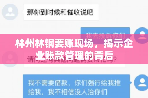 林州林钢要账现场，揭示企业账款管理的背后
