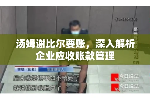 汤姆谢比尔要账，深入解析企业应收账款管理