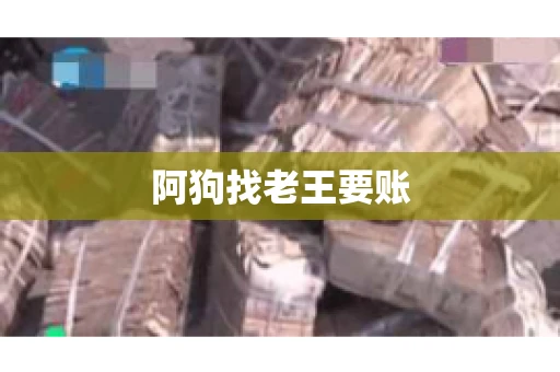阿狗找老王要账