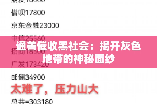 通善催收黑社会：揭开灰色地带的神秘面纱
