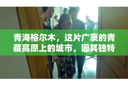 青海格尔木，这片广袤的青藏高原上的城市，因其独特的地理位置和丰富的自然资源而闻名。然而，对于一些借款人来说，这里可能因为逾期还款而接到催收电话。那么，青海格尔木的催收电话是哪家公司的呢？今天，我们就来聊聊这个话题。
